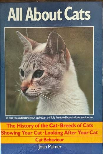 All About Cats