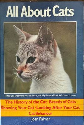 All About Cats