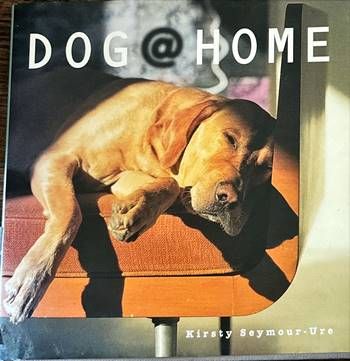 Dog Home