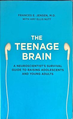 The teenage brain