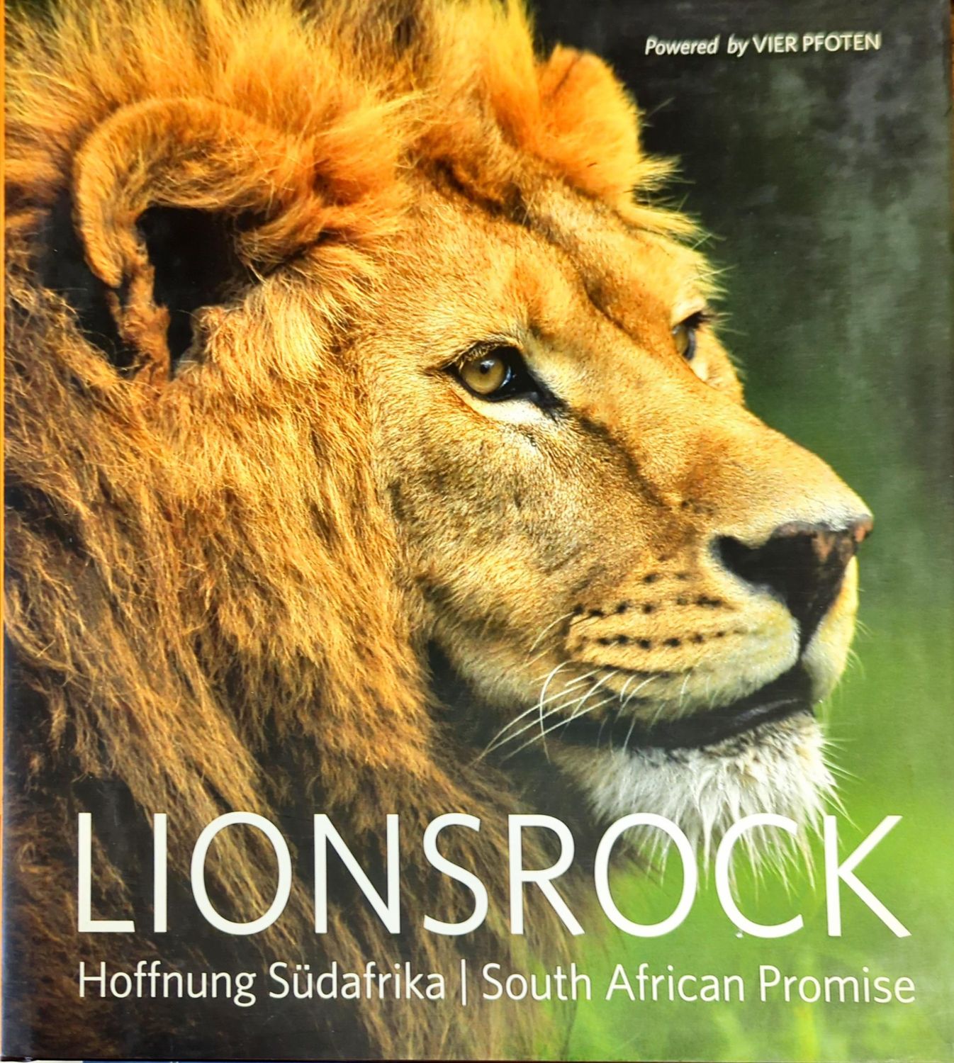 Lionsrock. Hoffnung Südafrika, South African Promise