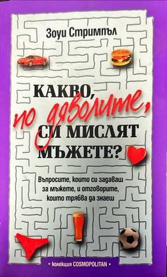 Какво, по дяволите, си мислят мъжете?