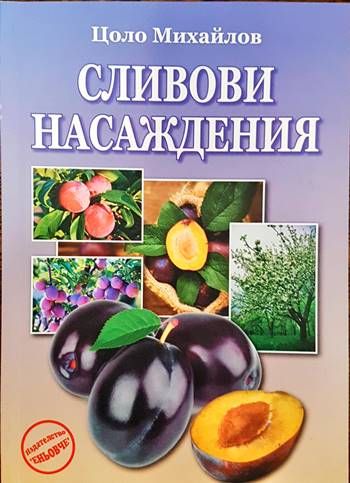 Сливови насаждения Сливови насаждения