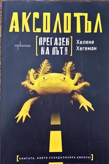 Аксолотъл, прегазен на пътя