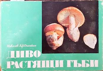 Диворастящи гъби