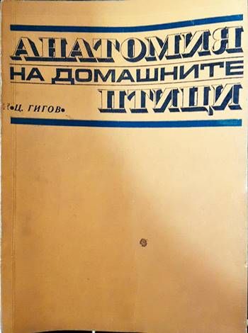 Анатомия на домашните птици