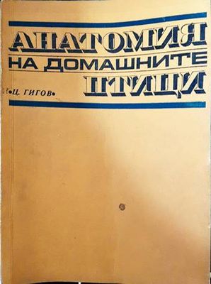Анатомия на домашните птици