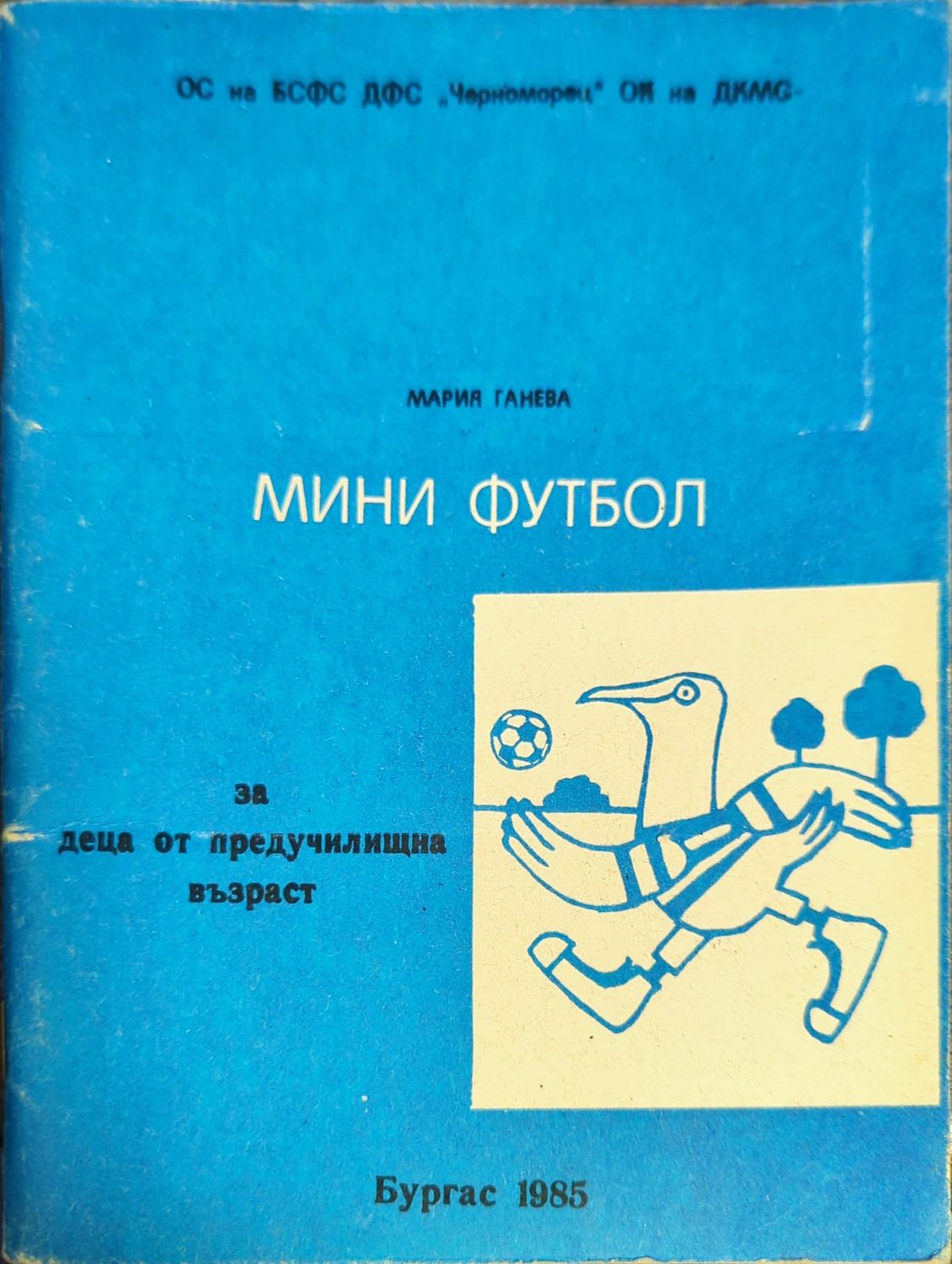 Мини футбол