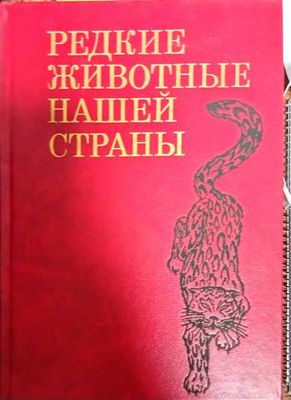 Редкие животные нашей страны