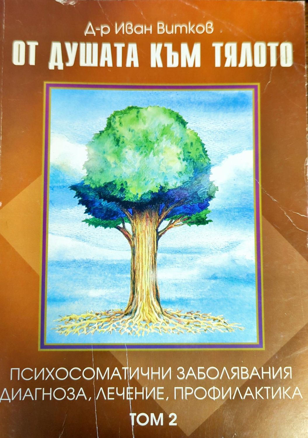 От душата към тялото. Том 2: Психоматични заболявания, диагноза, лечение, профилактика От душата към тялото. Том 2: Психоматични заболявания, диагноза, лечение, профилактика