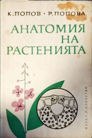 Анатомия на растенията