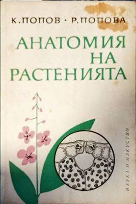 Анатомия на растенията
