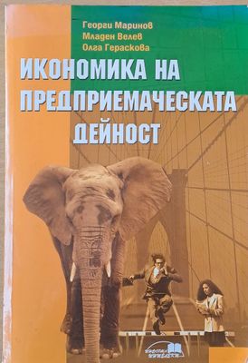 Икономика на предприемаческата дейност