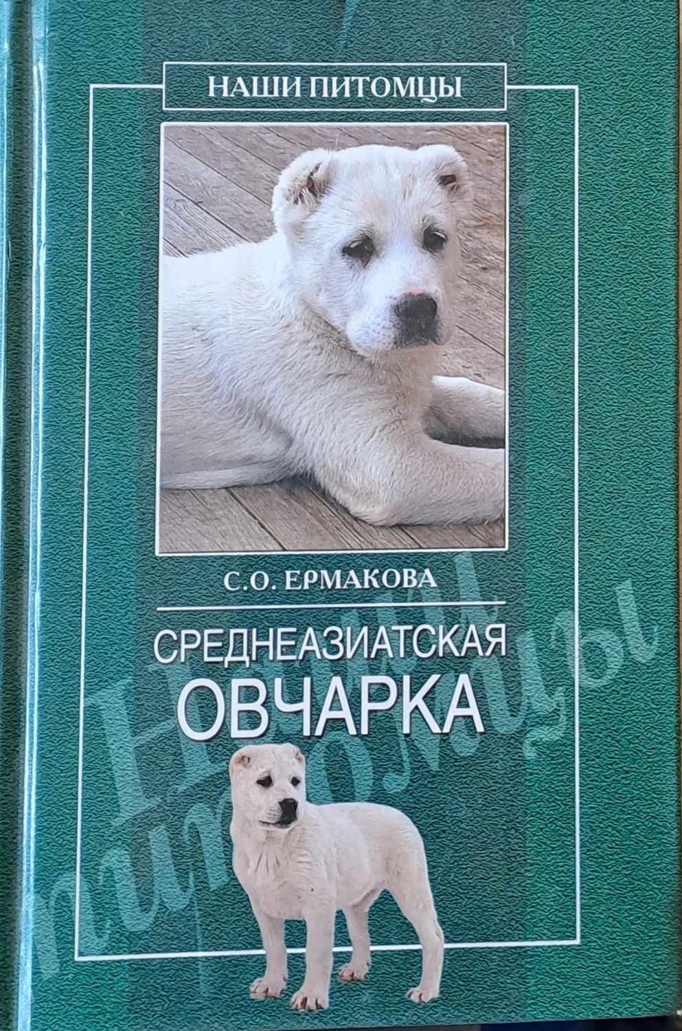 Среднеазиатская овчарка Среднеазиатская овчарка