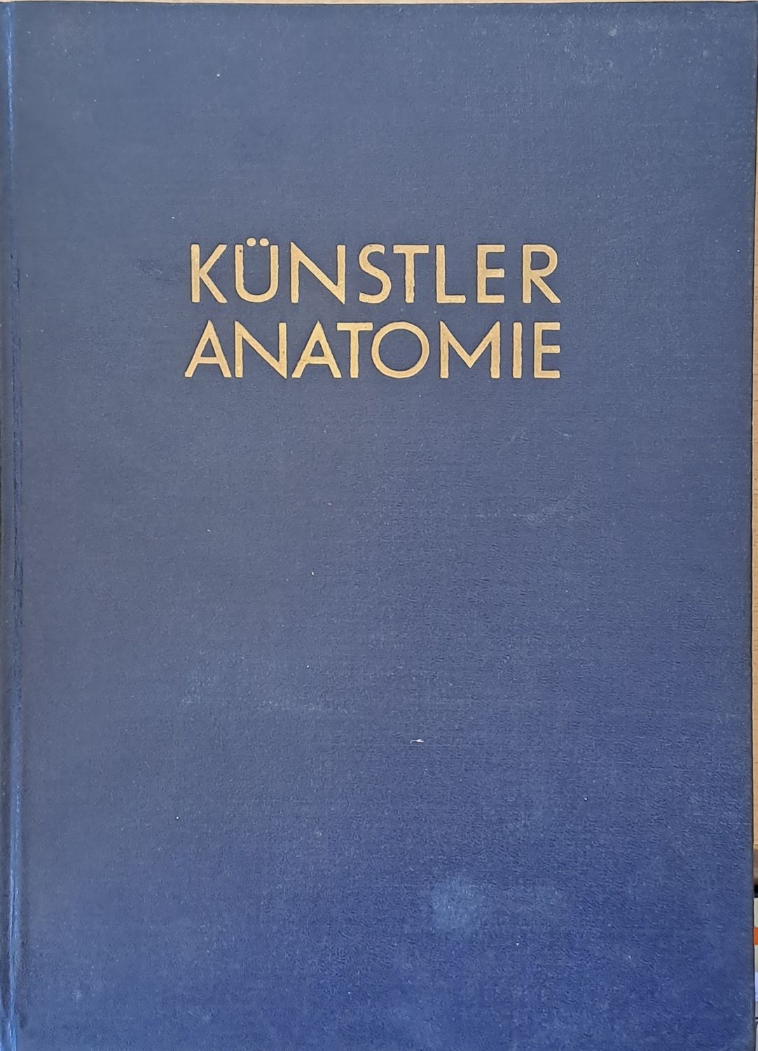 Kunstler Anatomie