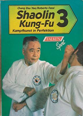 Shaolin Kung-Fu 3