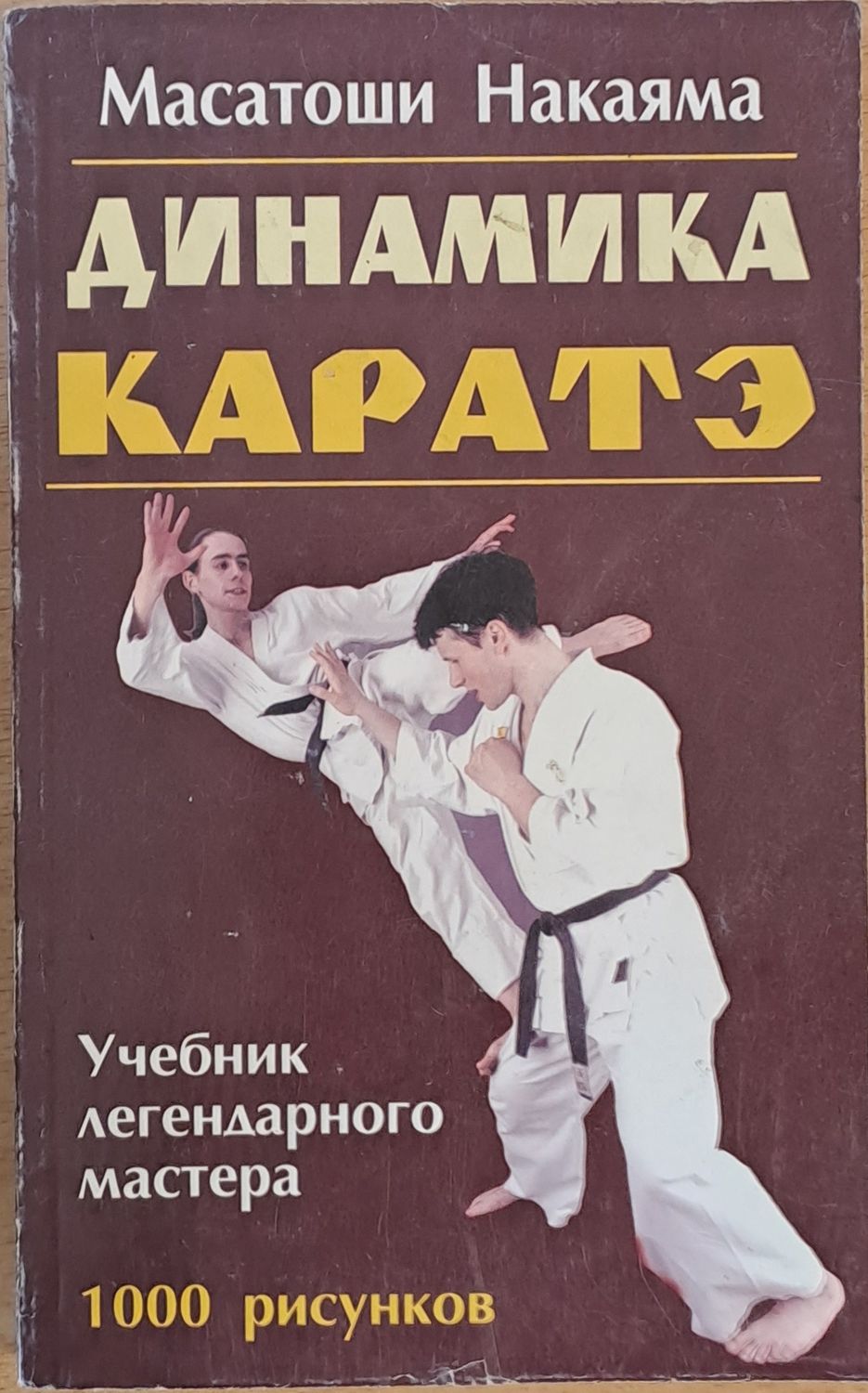 Динамика Каратэ