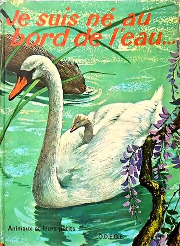 Je suis ne au bord de l'eau...