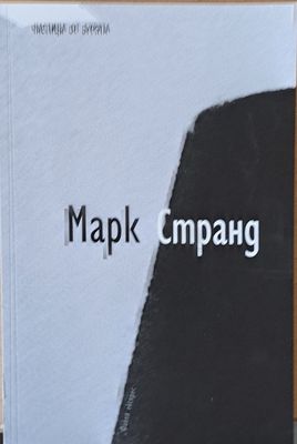 Частица от бурята