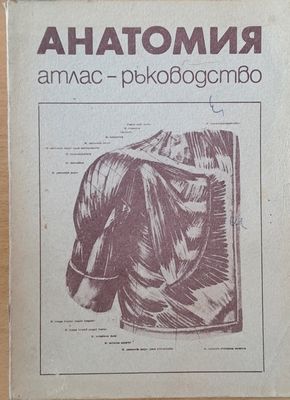 Анатомия. Атлас - ръководство
