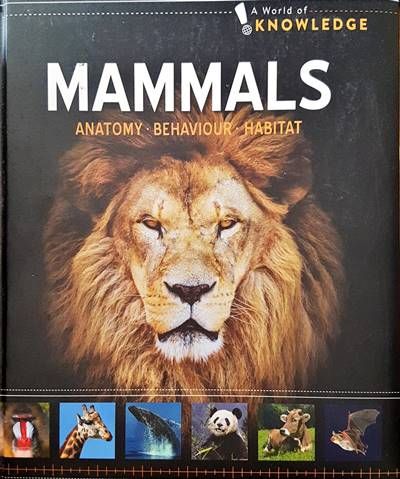 Mammals