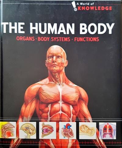 The Human Body