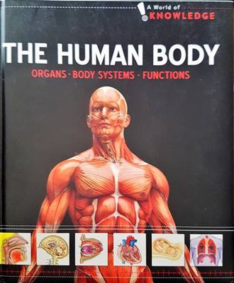 The Human Body