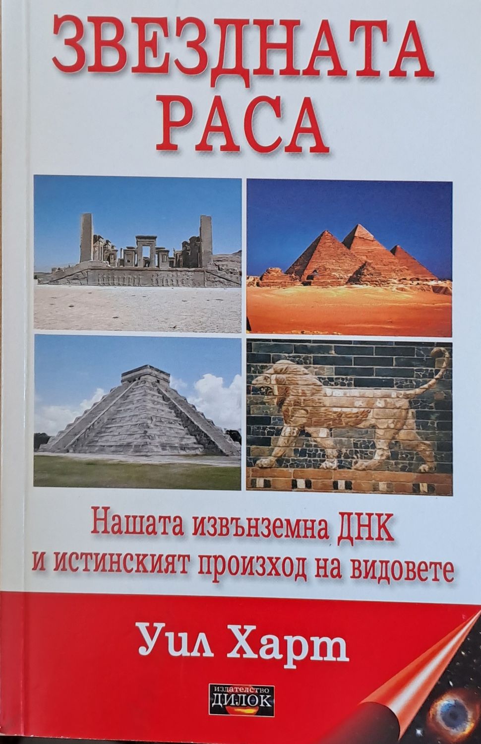 Звездната раса