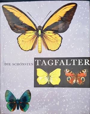 Tagfalter