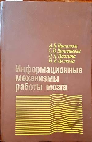 Информационные механизмы работы мозга