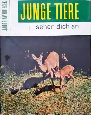 Junge tiere sehen dich an