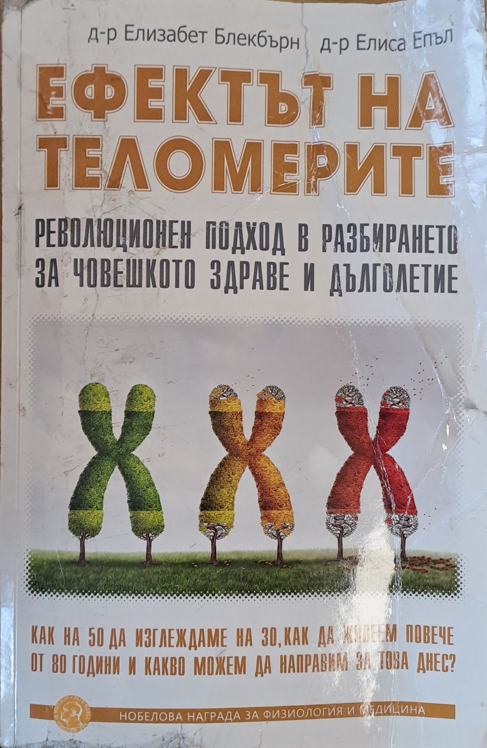 Ефектът на теломерите