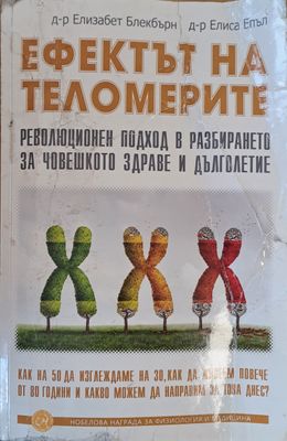 Ефектът на теломерите
