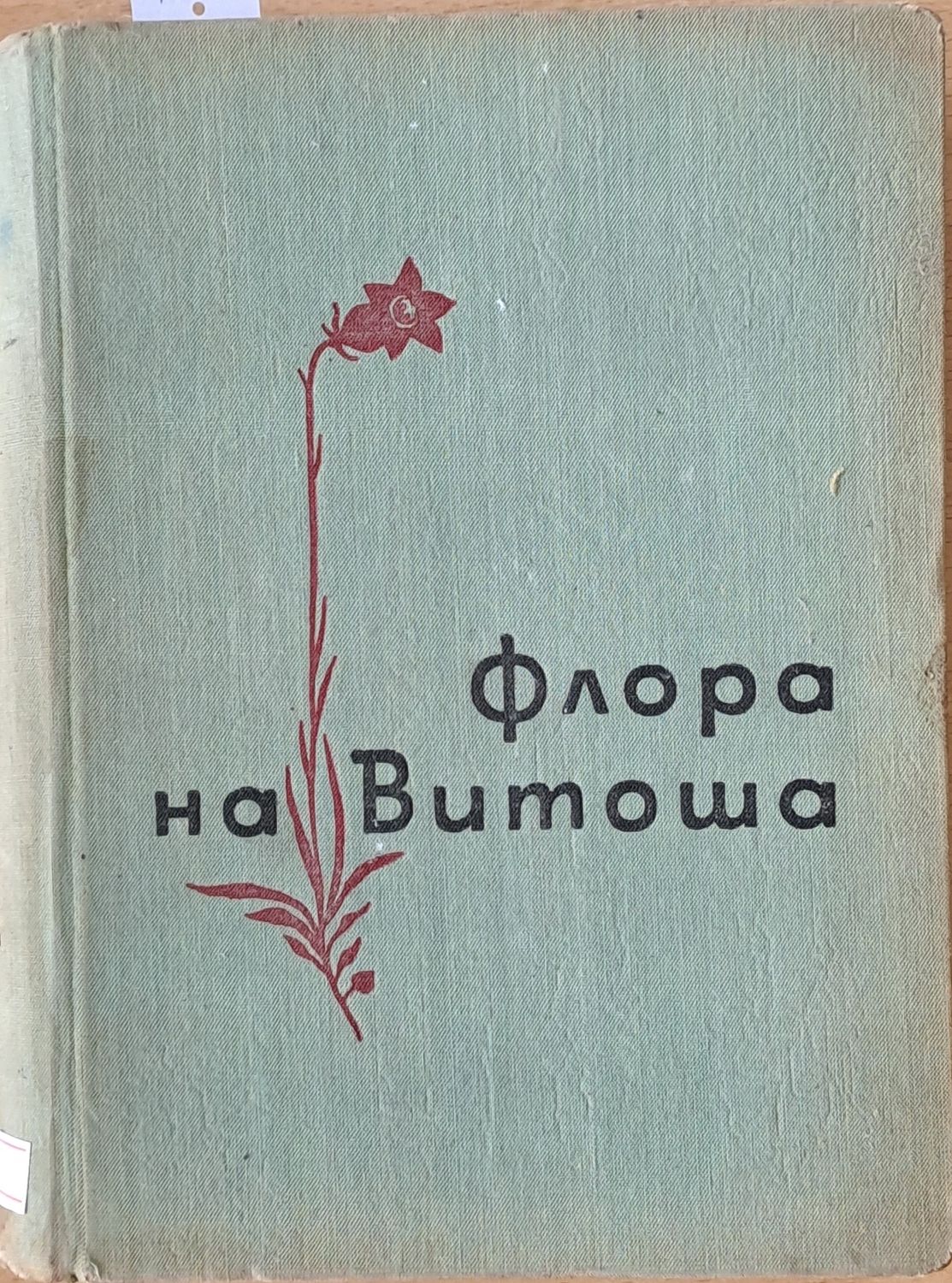 Флора на Витоша Флора на Витоша