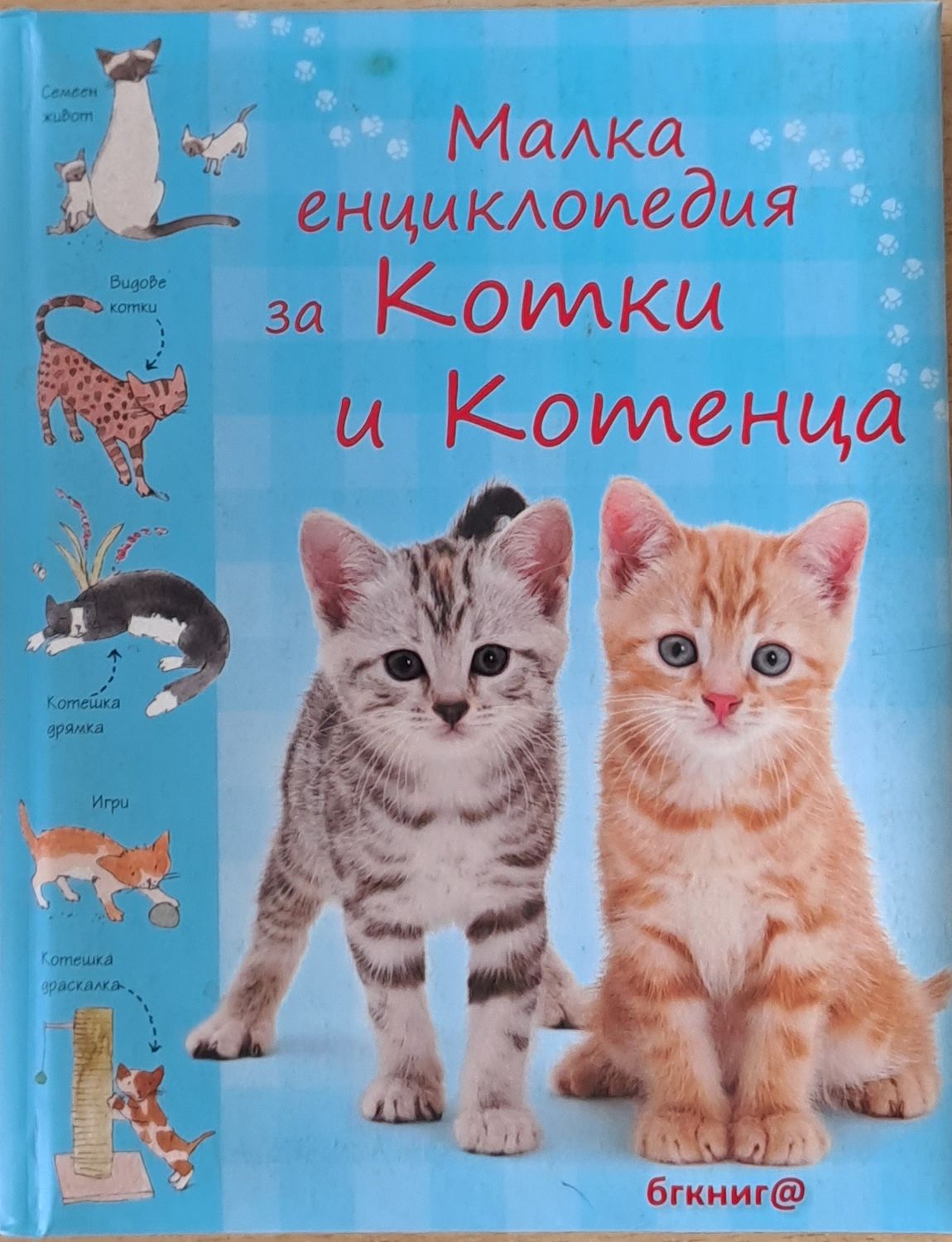 Малка енциклопедия за Котки и Котенца Малка енциклопедия за Котки и Котенца