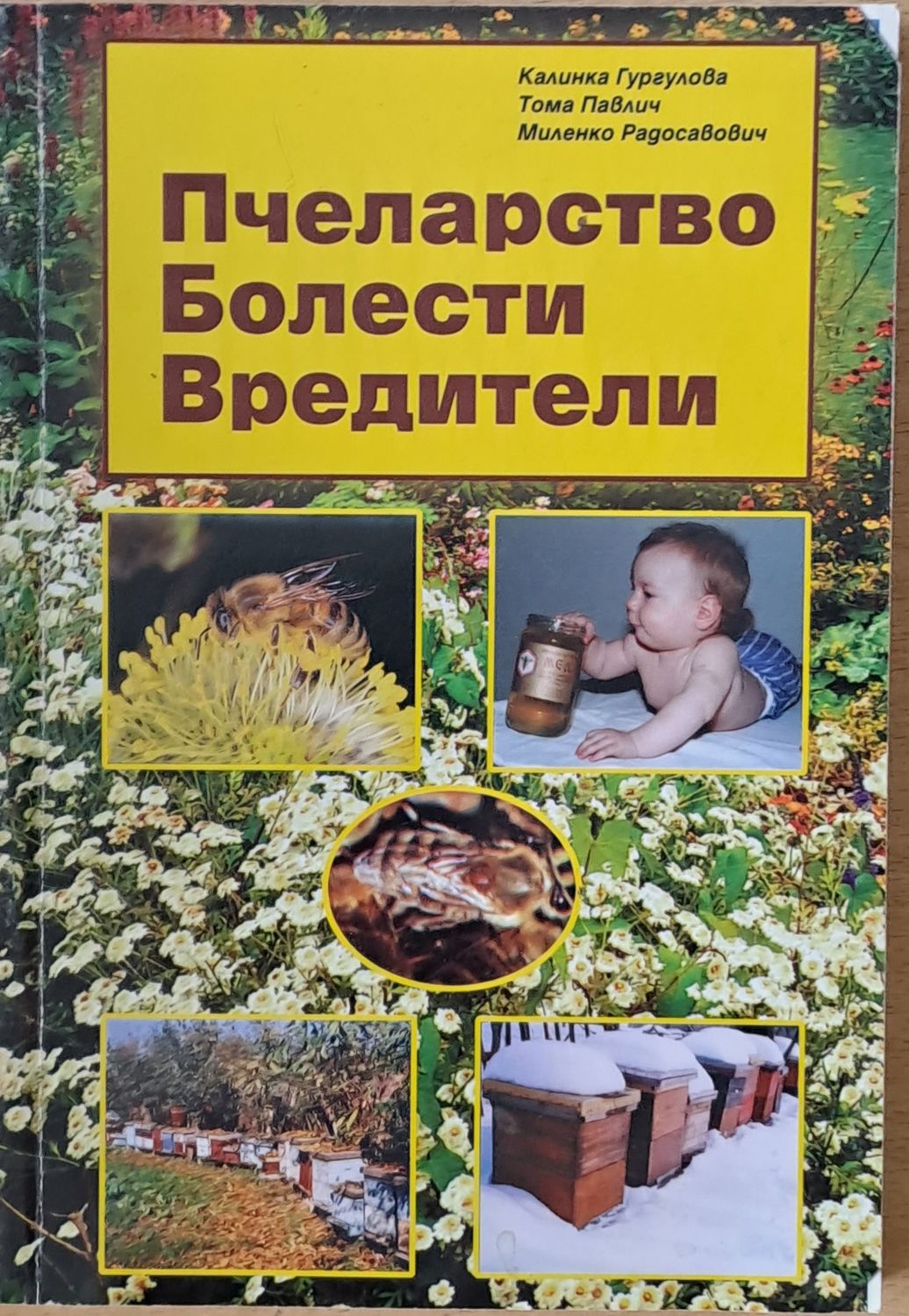 Пчеларство, Болести, Вредители