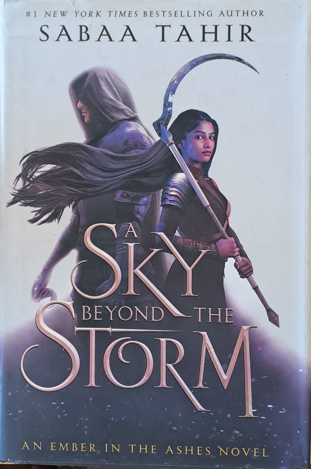A Sky Beyond the Storm