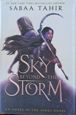 A Sky Beyond the Storm