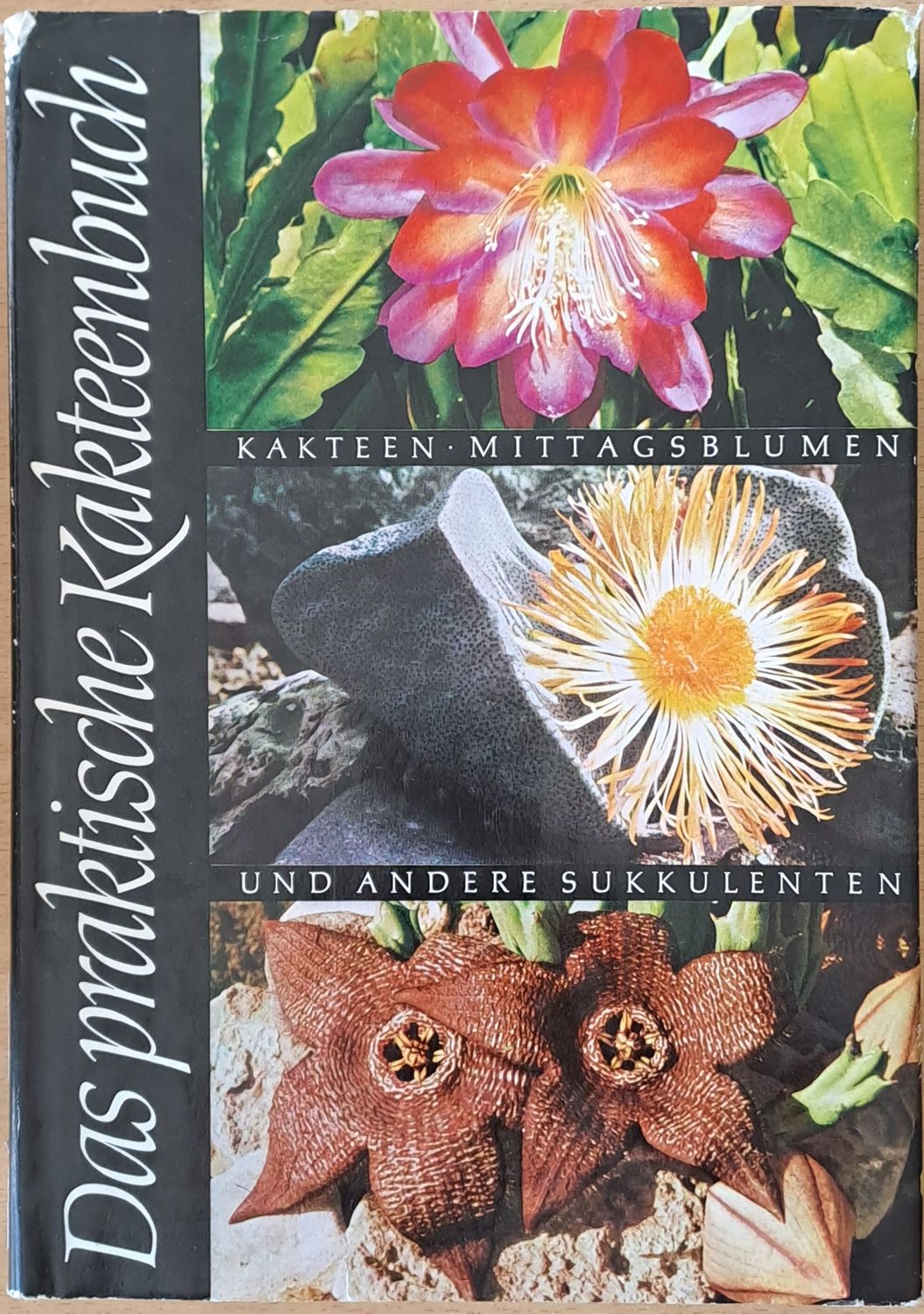 Das praktische Kakteenbuch