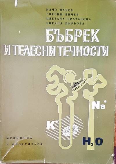 Бъбрек и телесни течности
