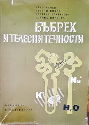 Бъбрек и телесни течности