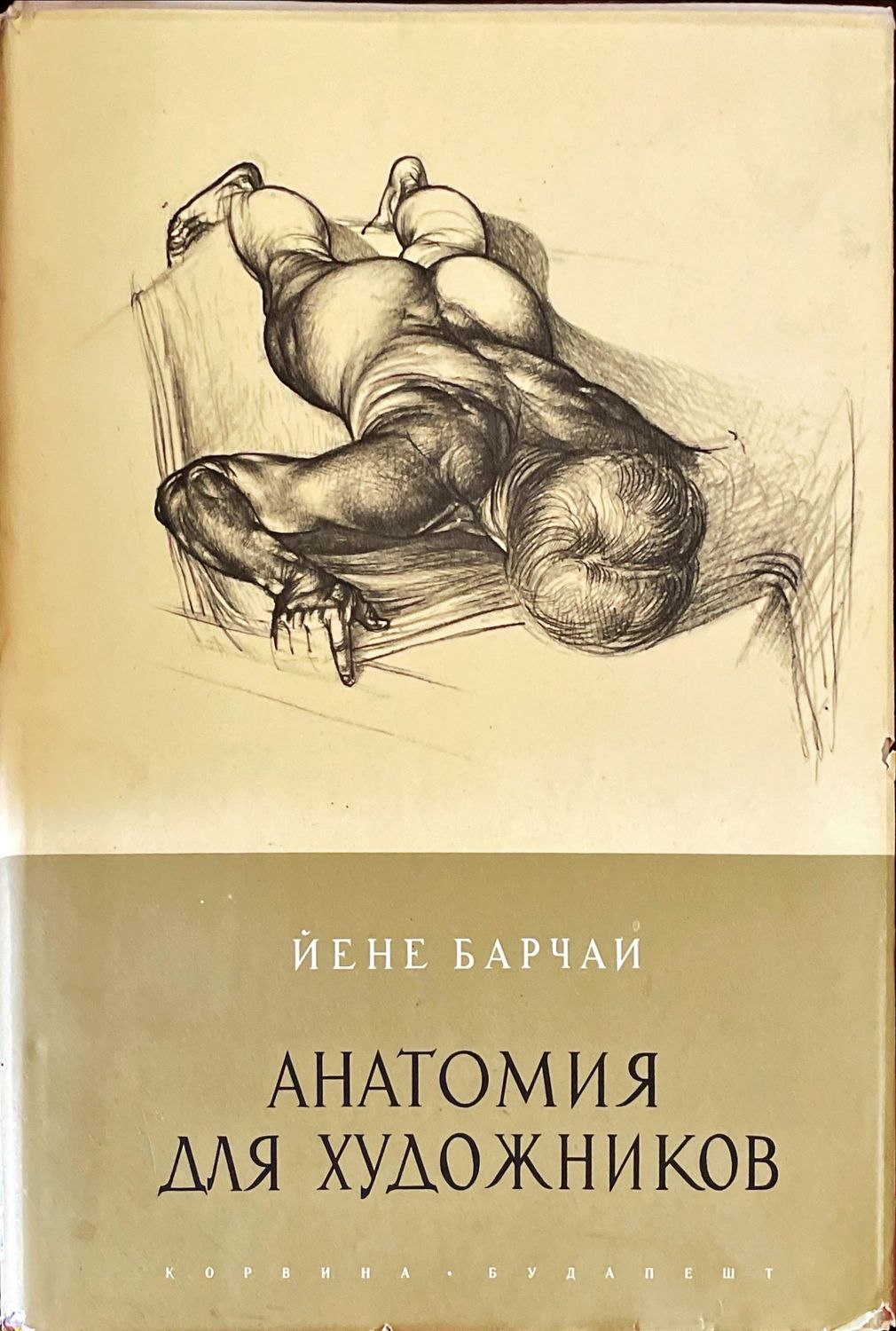 Анатомия для художников