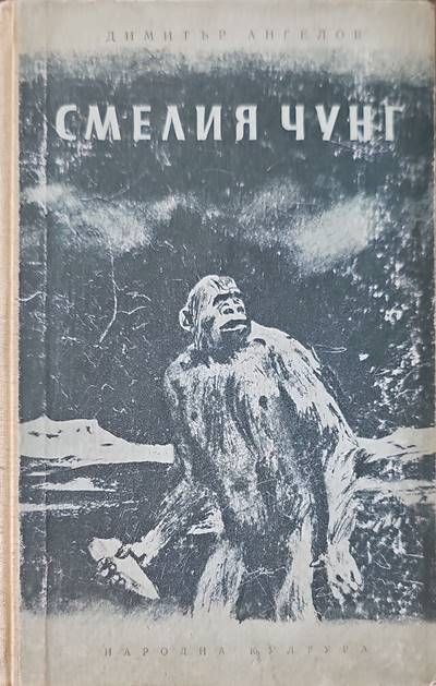 Смелия Чунг