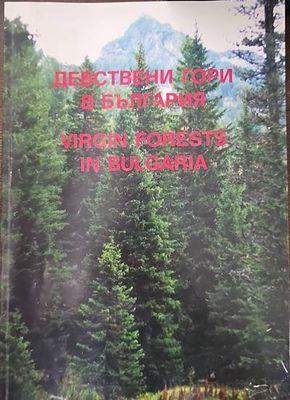 Девствени гори в България