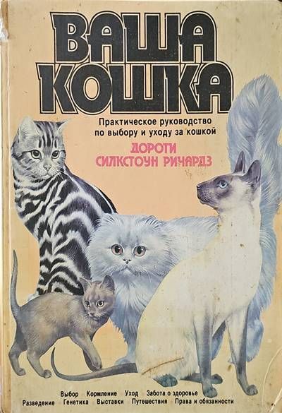 Ваша кошка
