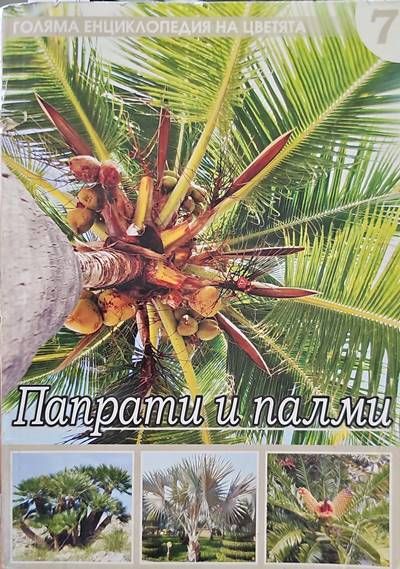 Папрати и палми