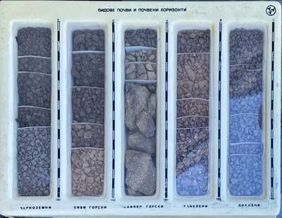 Видове почви и почвено хоризонти