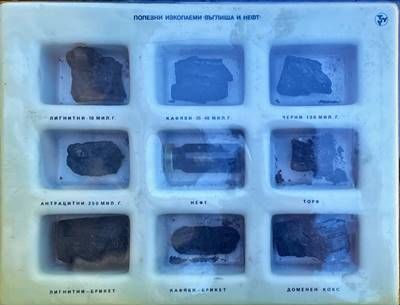 Полезни изкопаеми въглища и нефт Полезни изкопаеми въглища и нефт