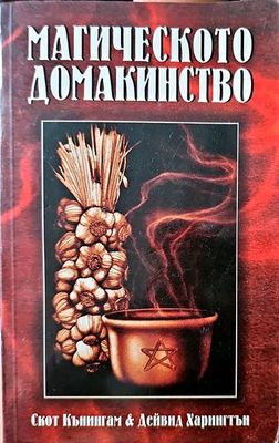 Магическото домакинство