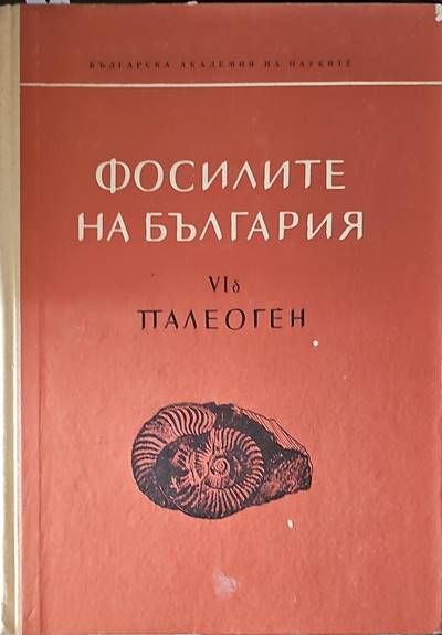 Фосилите на България. Том 6Б: Палеоген. Морски таралежи